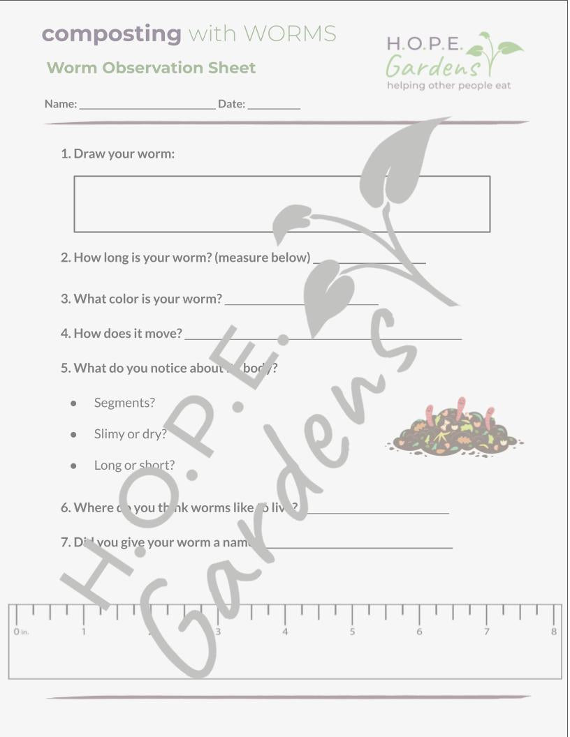 🪱 Worm Composting Lesson (Digital Download)