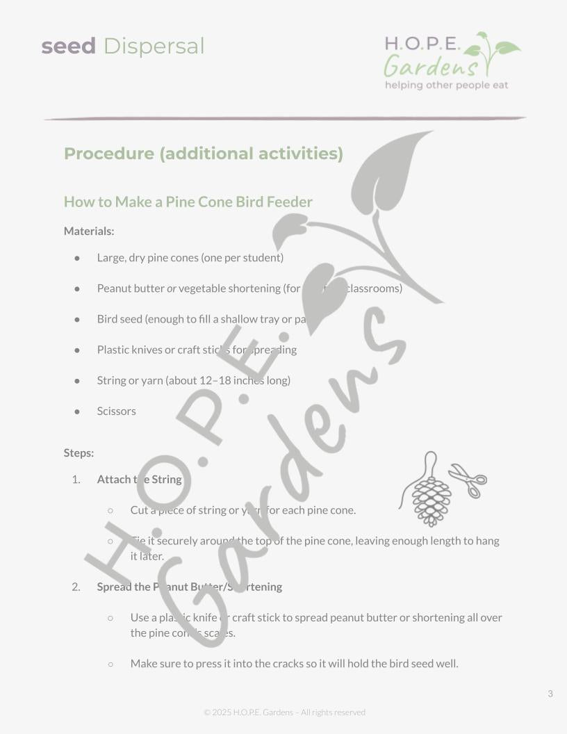Seed Dispersal Lesson 🌱 (Digital Download)