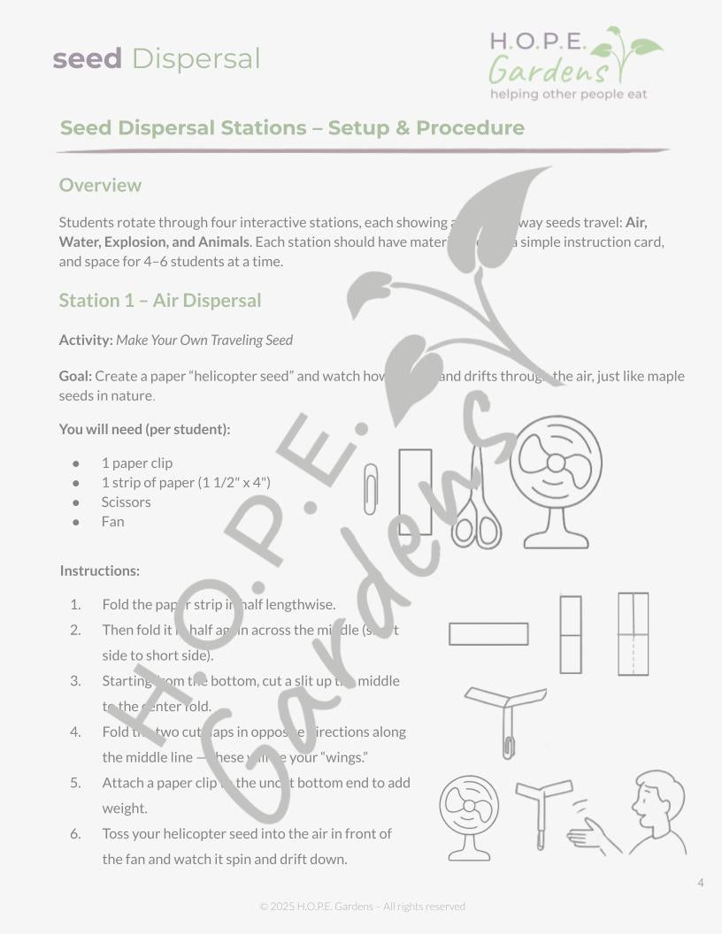 Seed Dispersal Lesson 🌱 (Digital Download)