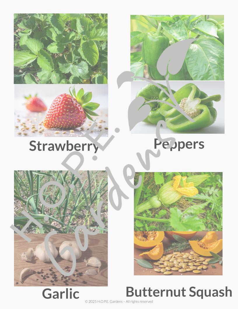 Seed Harvesting (Digital Download)
