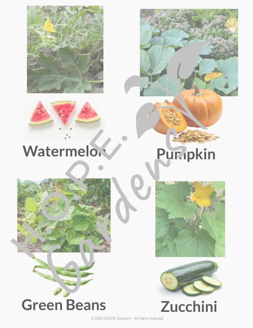 Seed Harvesting (Digital Download)