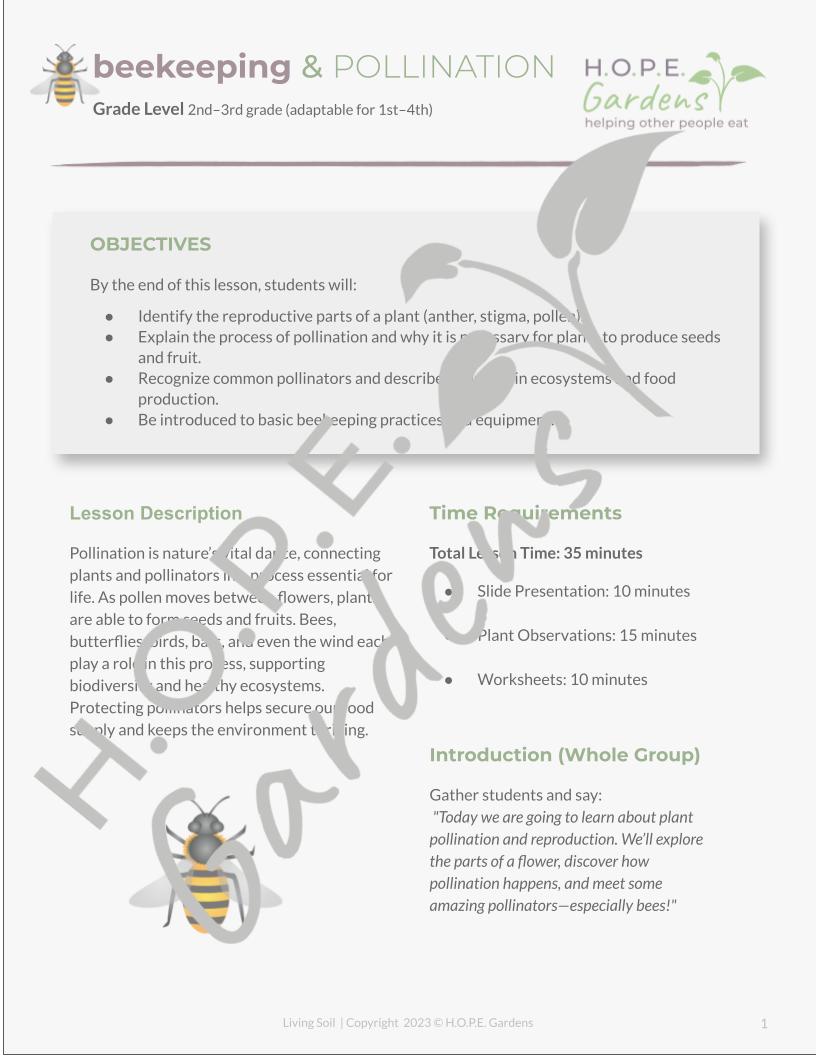 π Bees & Pollination Lesson β (Digital Download)