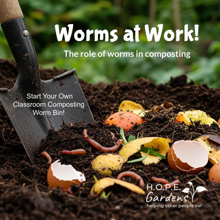 🪱 Worm Composting Lesson (Digital Download)