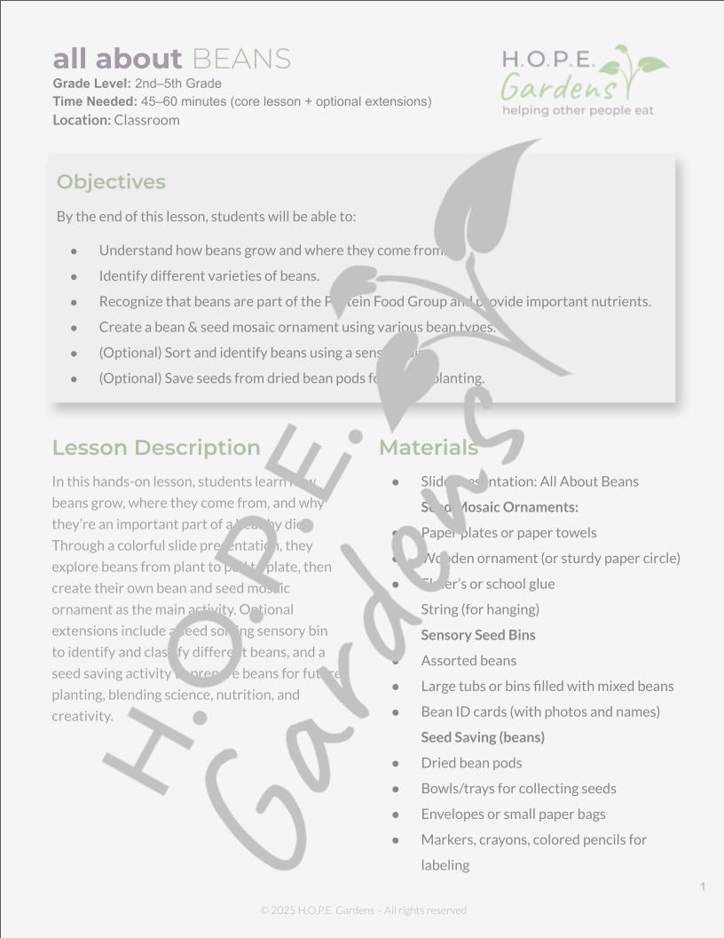 🌱 All About Beans Lesson –(Digital Download)
