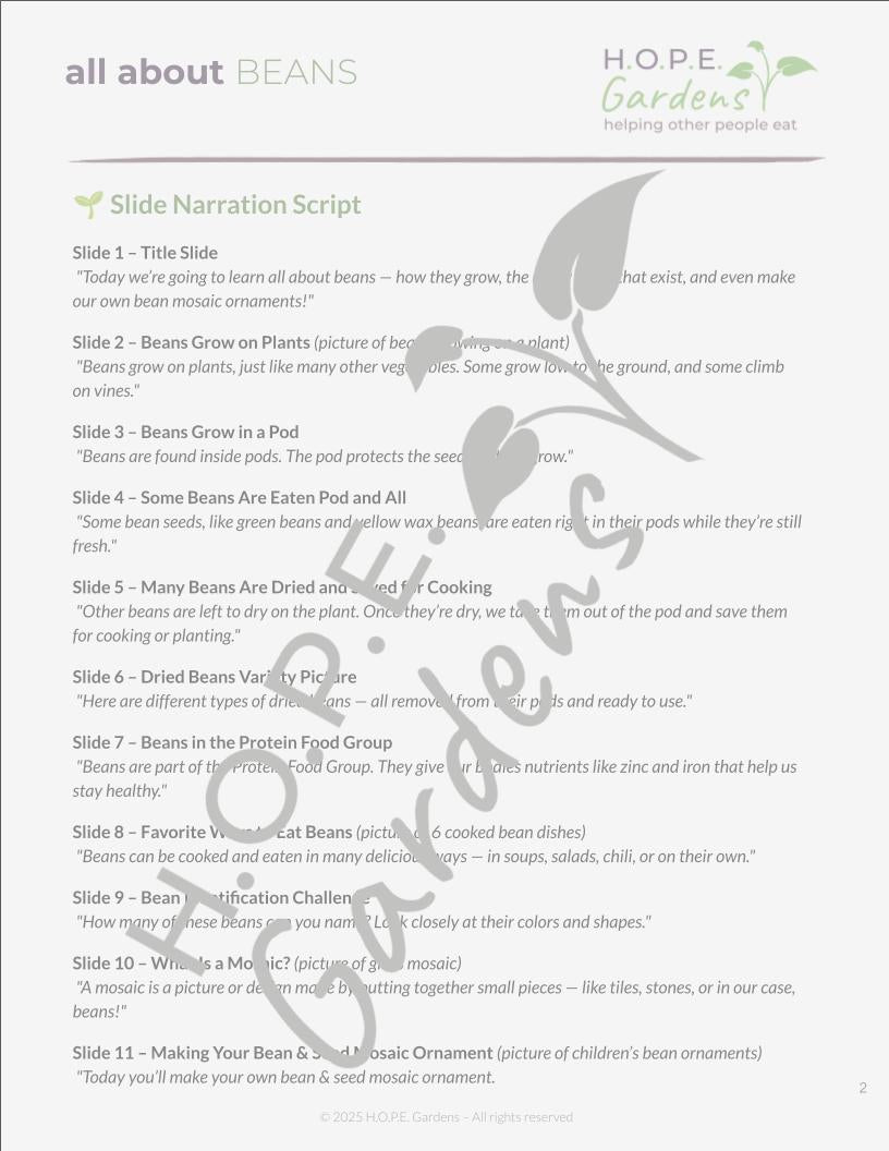 🌱 All About Beans Lesson –(Digital Download)