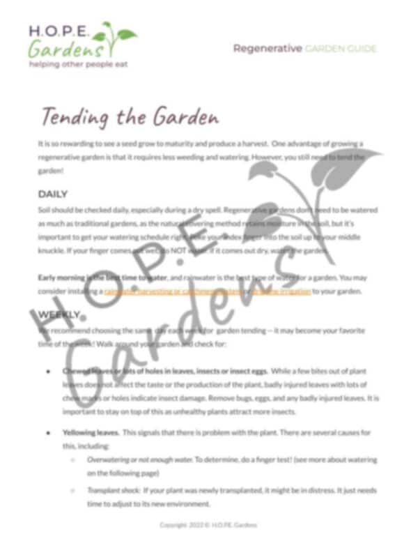 Starting Your School Garden Guide w/ Consult