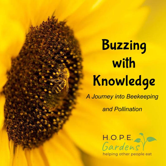 🐝 Bees & Pollination Lesson – (Digital Download)