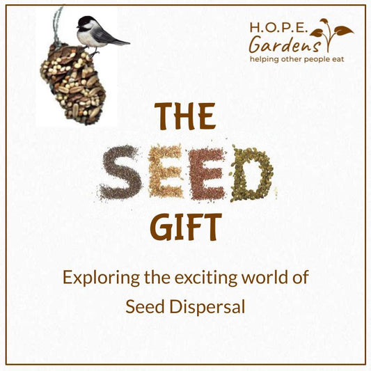 Seed Dispersal Lesson 🌱 (Digital Download)