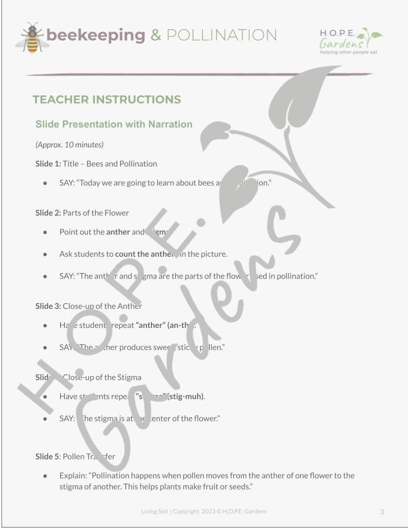 🐝 Bees & Pollination Lesson – (Digital Download)