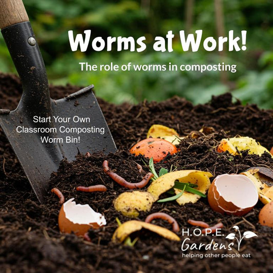 🪱 Worm Composting Lesson (Digital Download)