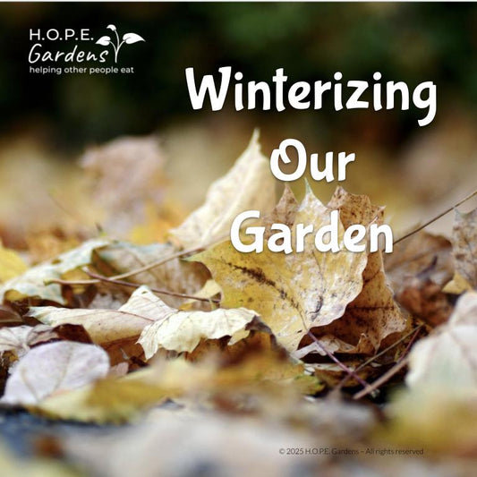 Winterizing Your Garden – Nature-Based Lesson + Slide Lesson (Digital Download)