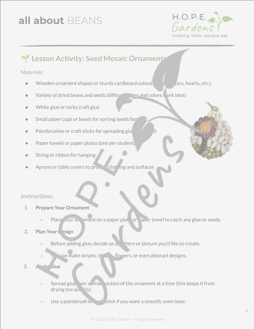 🌱 All About Beans Lesson –(Digital Download)
