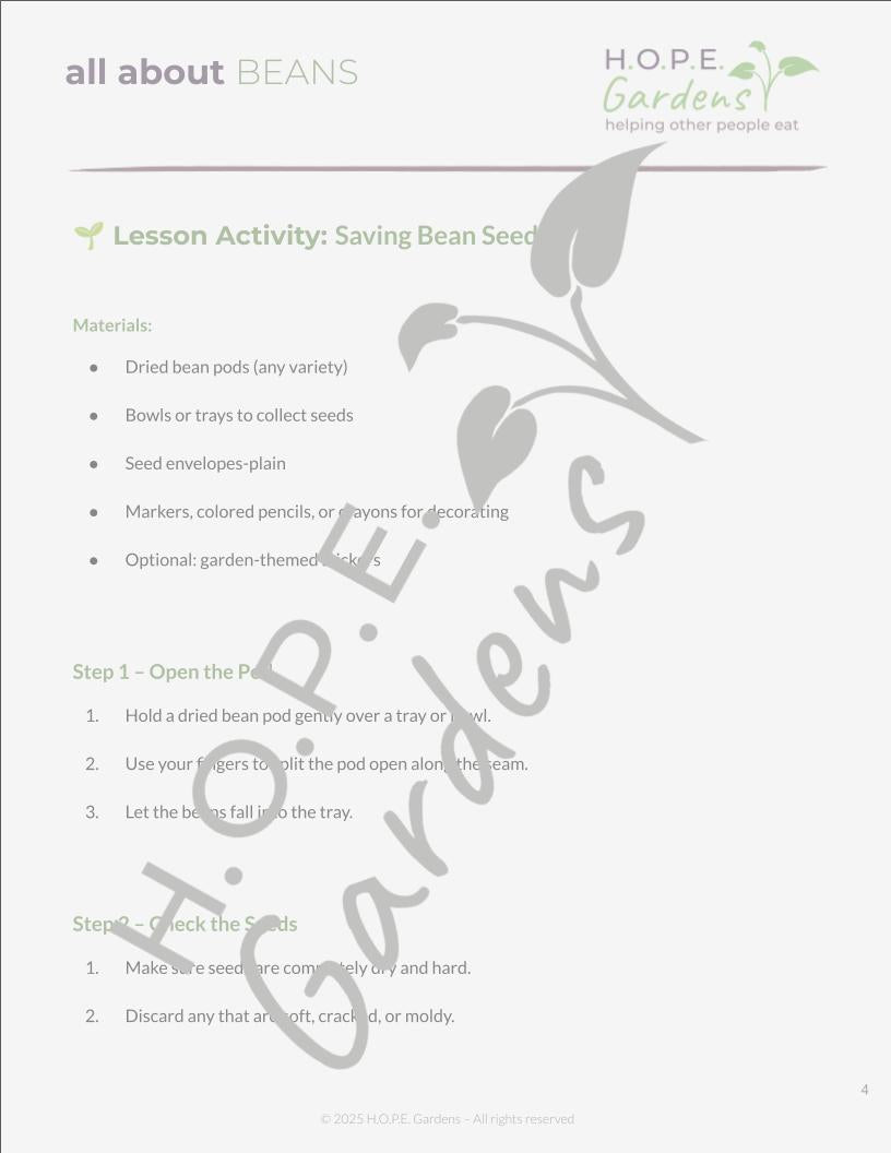 🌱 All About Beans Lesson –(Digital Download)