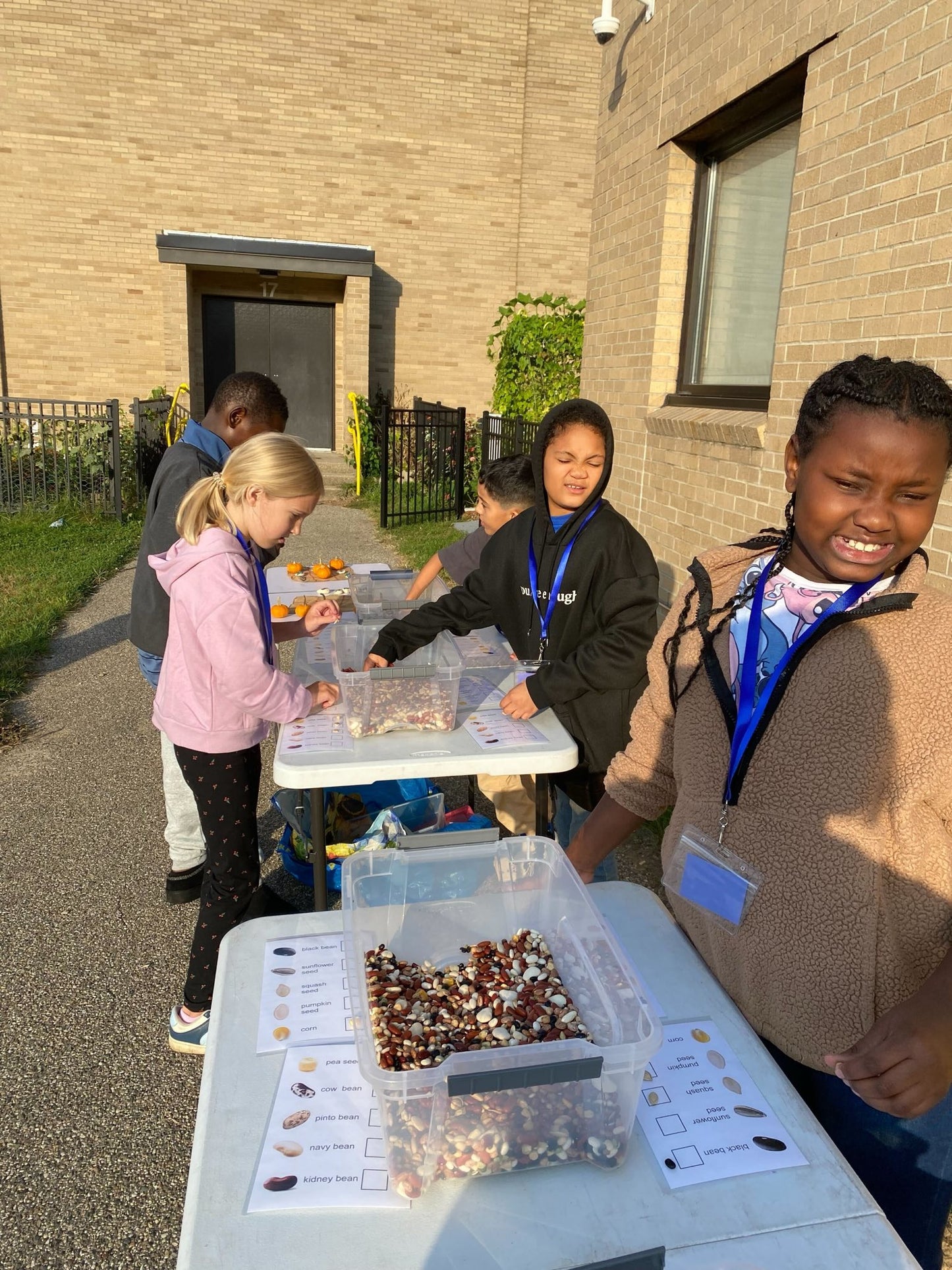 🌱 All About Beans Lesson –(Digital Download)