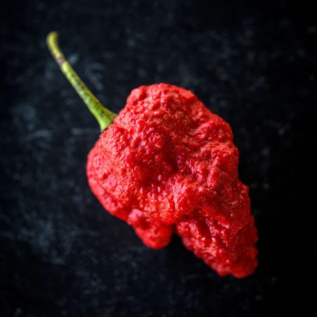 Pepper, Apocalypse Scorpion-HOT!