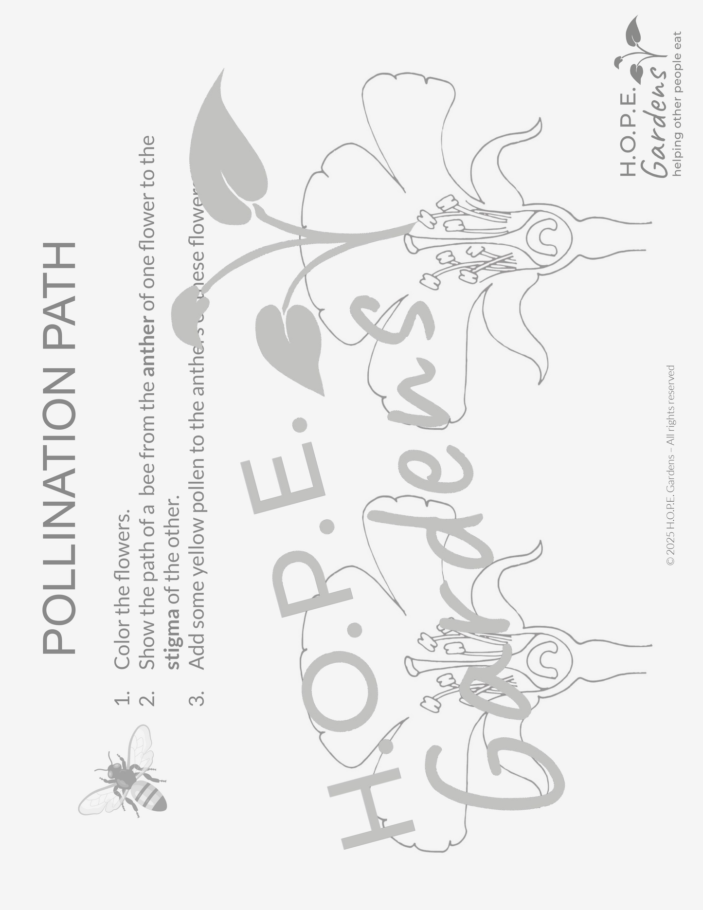 🐝 Bees & Pollination Lesson – (Digital Download)