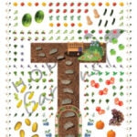 Starting Your School Garden Guide w/ Consult